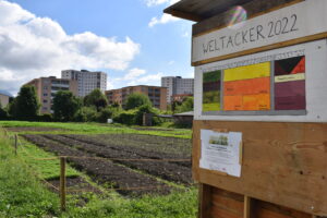 Weltacker©Verena Wagner 2022